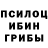 Псилоцибиновые грибы Psilocybine cubensis xaxolchik