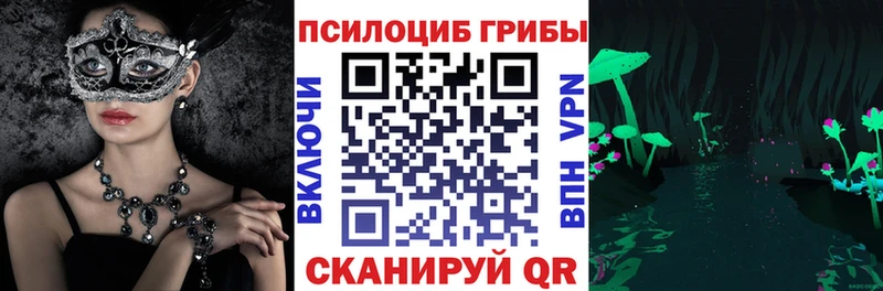 дарнет шоп  Зерноград  Псилоцибиновые грибы мухоморы 