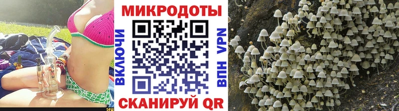 Галлюциногенные грибы мухоморы Зерноград